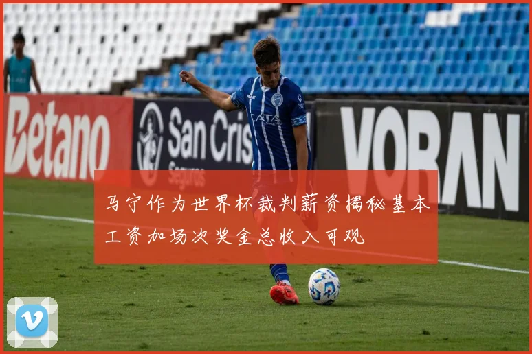 马宁作为世界杯裁判薪资揭秘基本工资加场次奖金总收入可观